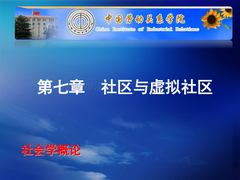 社区与虚拟社区.pptx_第1页