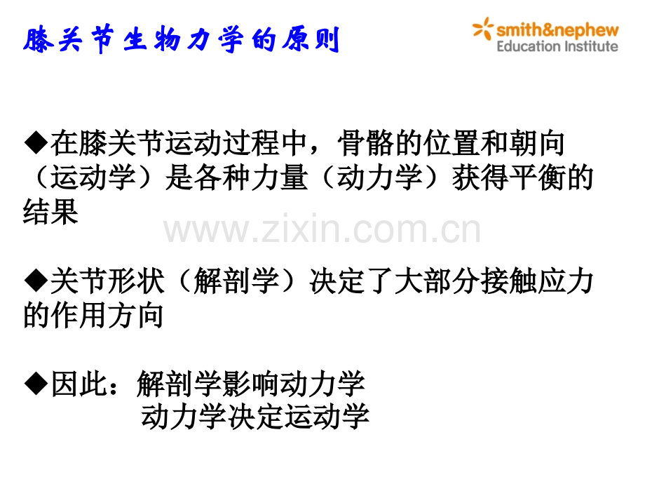 膝关节生物力学.pptx_第2页