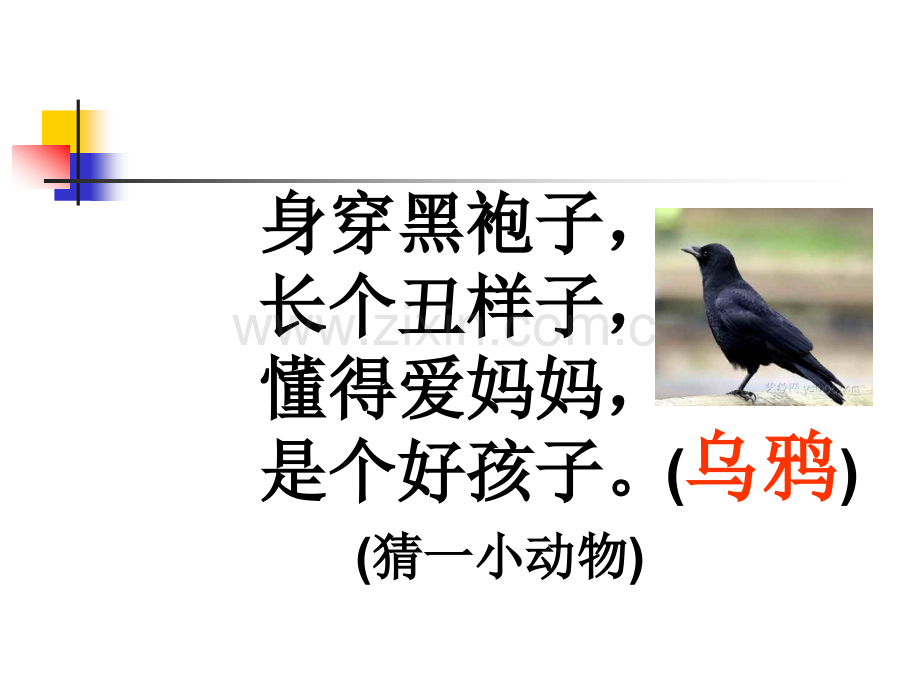 新苏教版一级下册语文第课乌鸦喝水.pptx_第1页