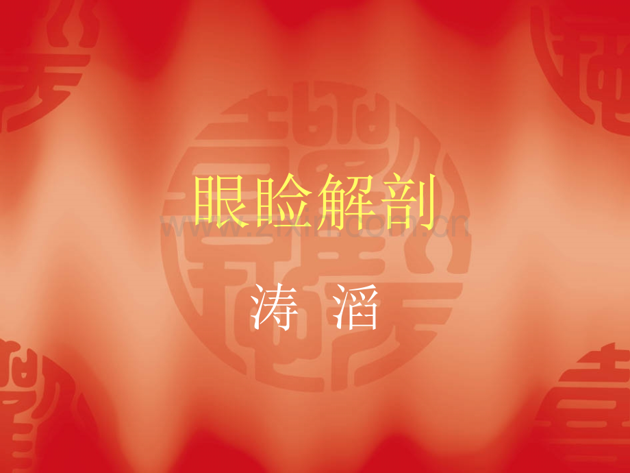 眼睑解剖.pptx_第1页