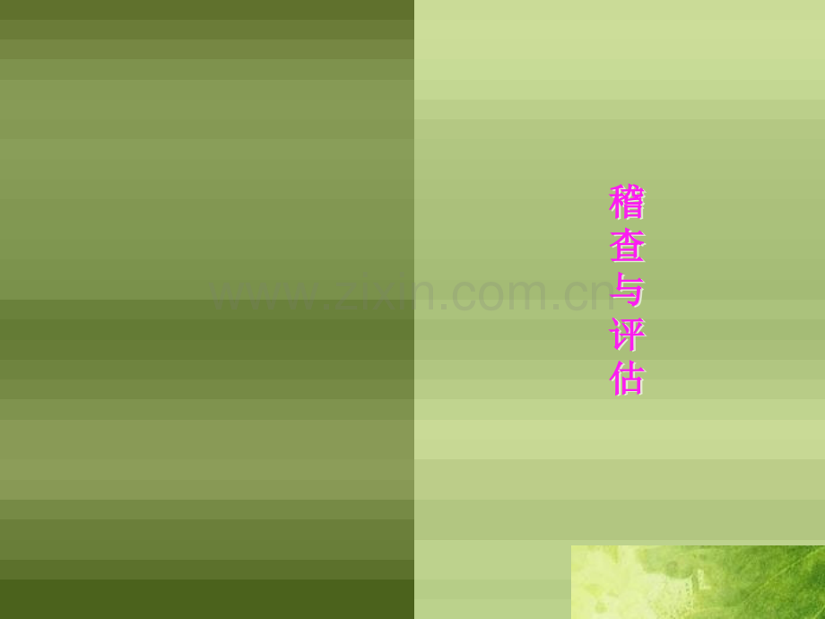 税务稽查与纳税评估.pptx_第1页