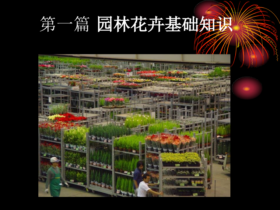 花卉营销研究.pptx_第2页