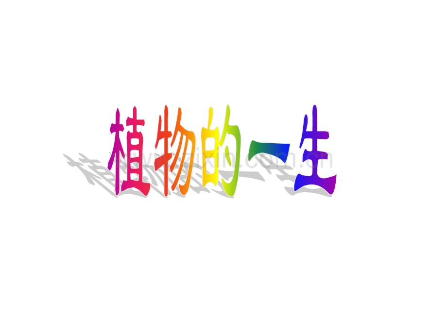 浙教版七年级下册科学14植物的一生共55张-1.pptx_第1页