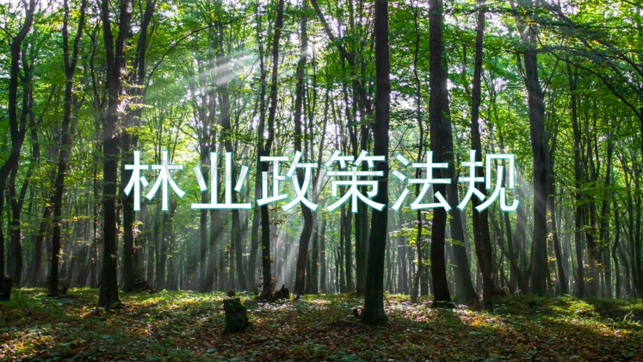 林业知识.pptx_第1页