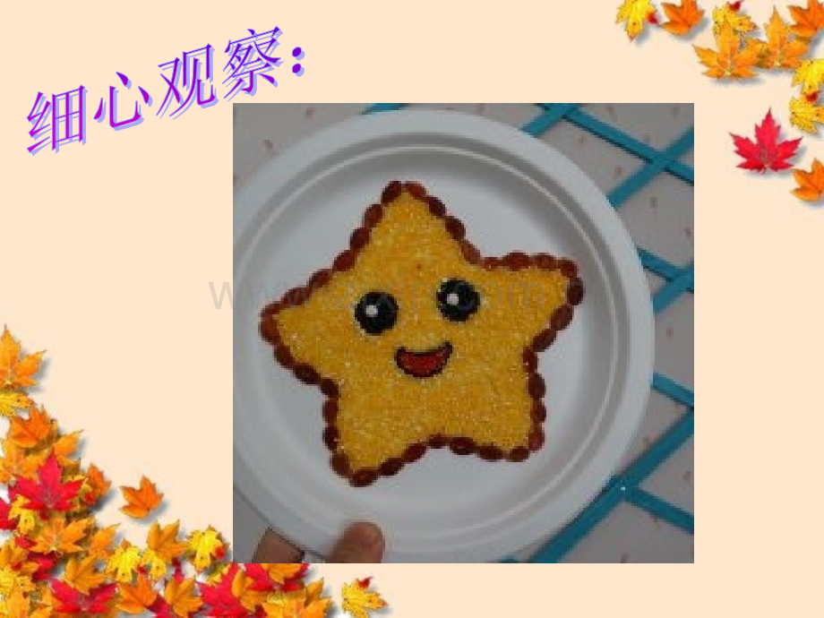 种子贴画PPT.pptx_第2页