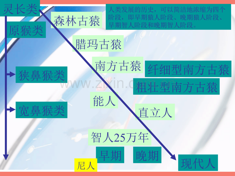 生态学的形成及发展.pptx_第2页