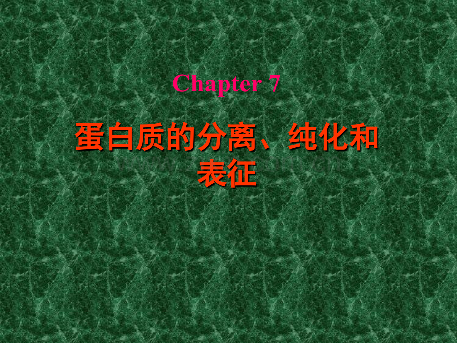 第6章蛋白质分离技术.pptx_第2页
