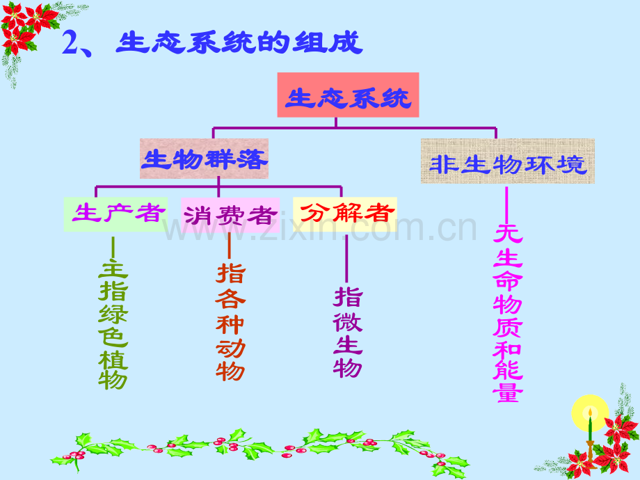 生态系统和生态平衡.pptx_第1页
