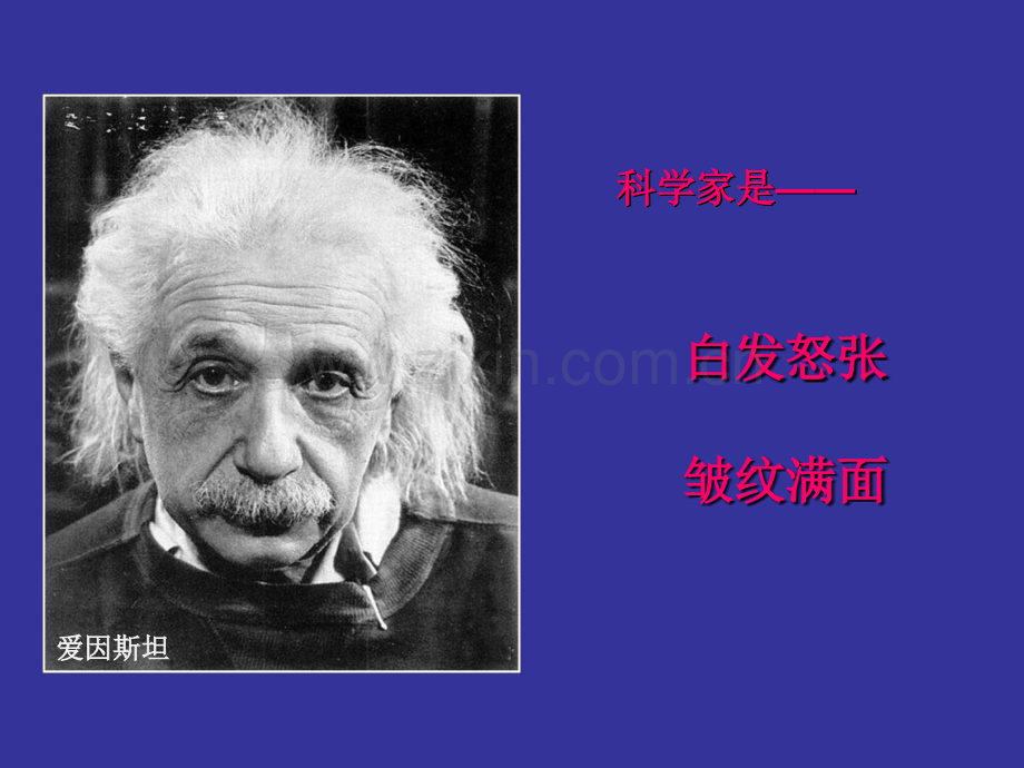 科学是美丽的优质.pptx_第2页