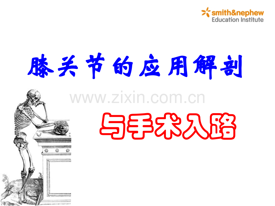 膝关节周围解剖与手术入路.pptx_第1页