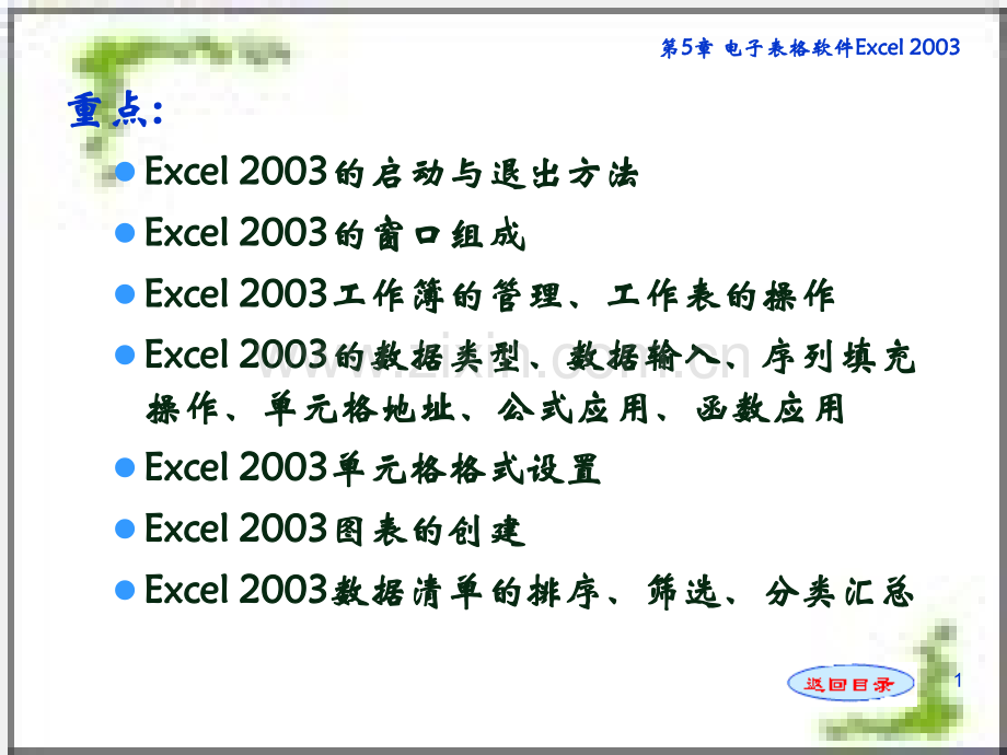 第5章电子表格处理软件.pptx_第1页