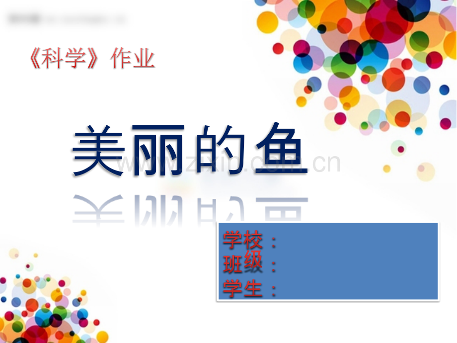 科学课美丽的鱼.pptx_第1页