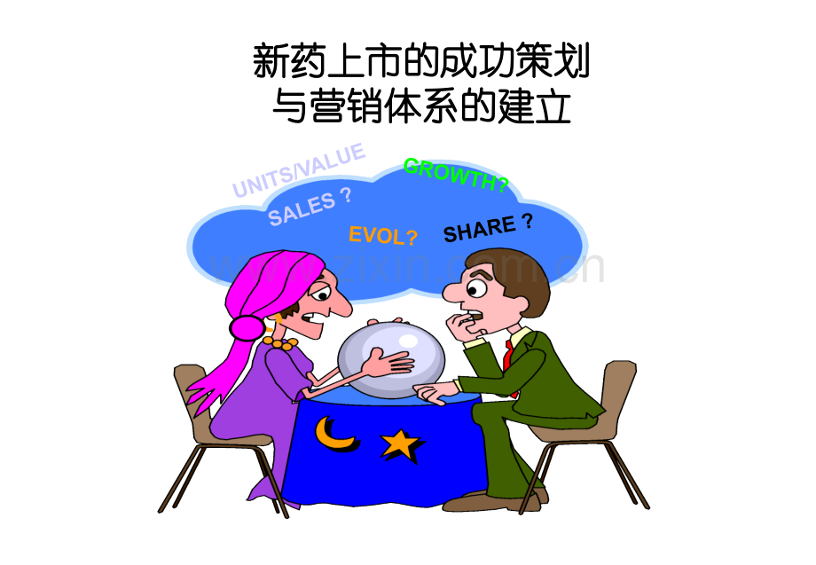新药上市的成功策划与营销体系的建立.pptx_第1页