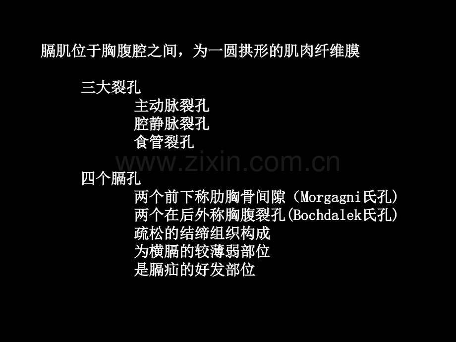 膈肌病变胸部外伤.pptx_第2页