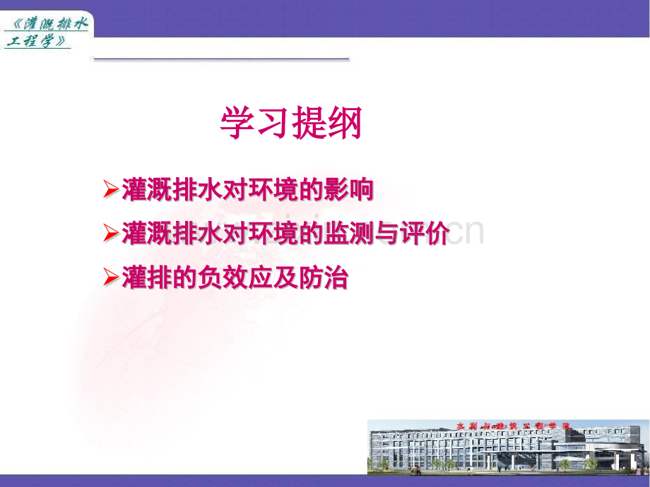 灌溉排水对环境的影响与评价.pptx_第2页