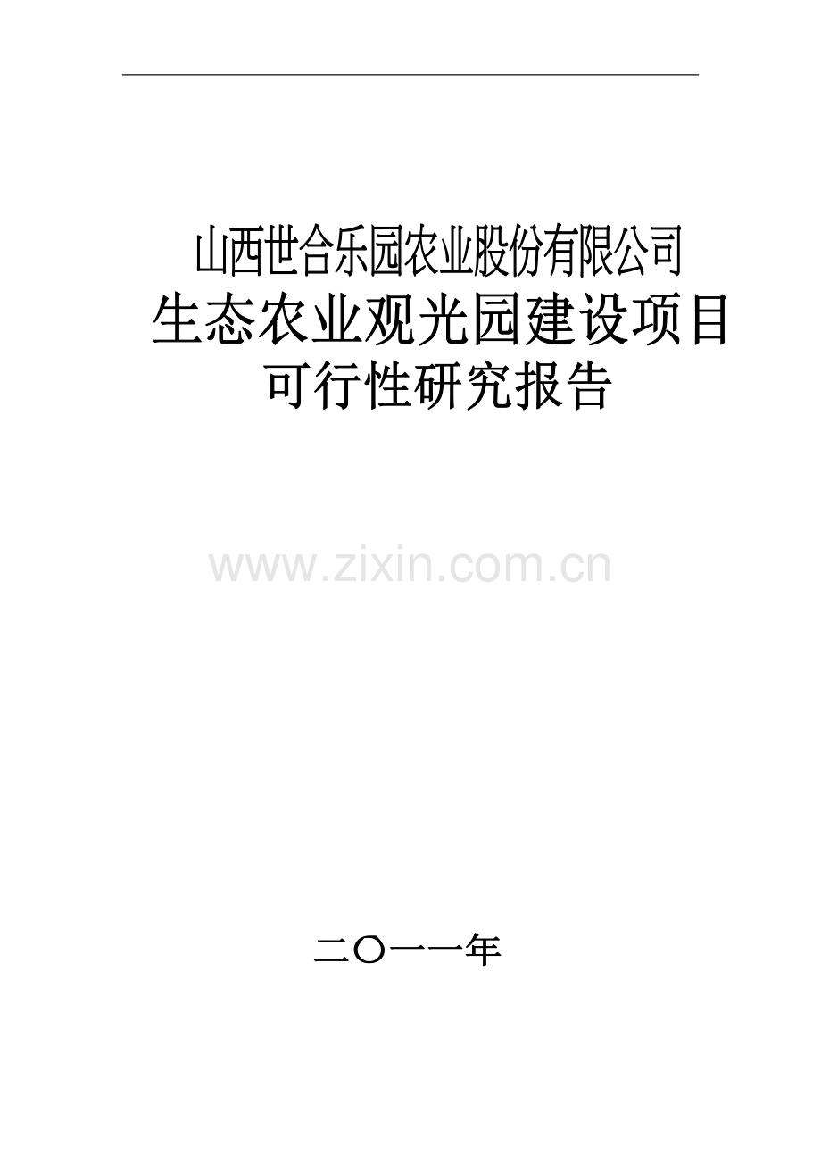 山西四合乐园可行性研究报告.doc_第1页