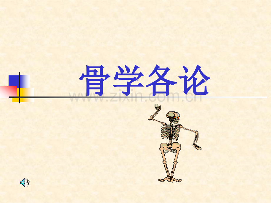 系统解剖学躯干骨四肢骨.pptx_第1页