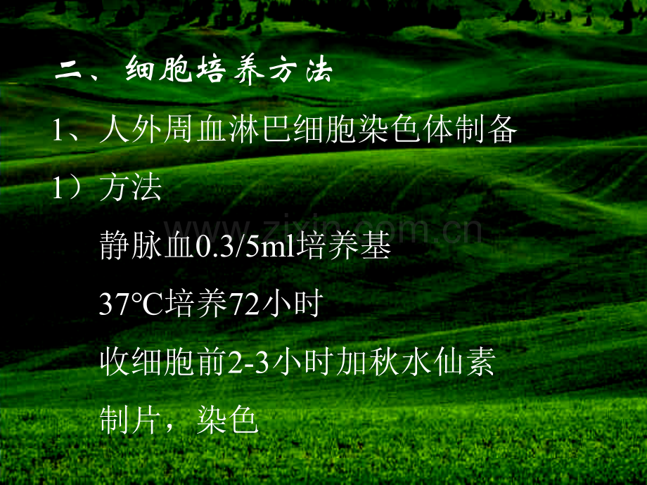 细胞遗传学技术.pptx_第2页