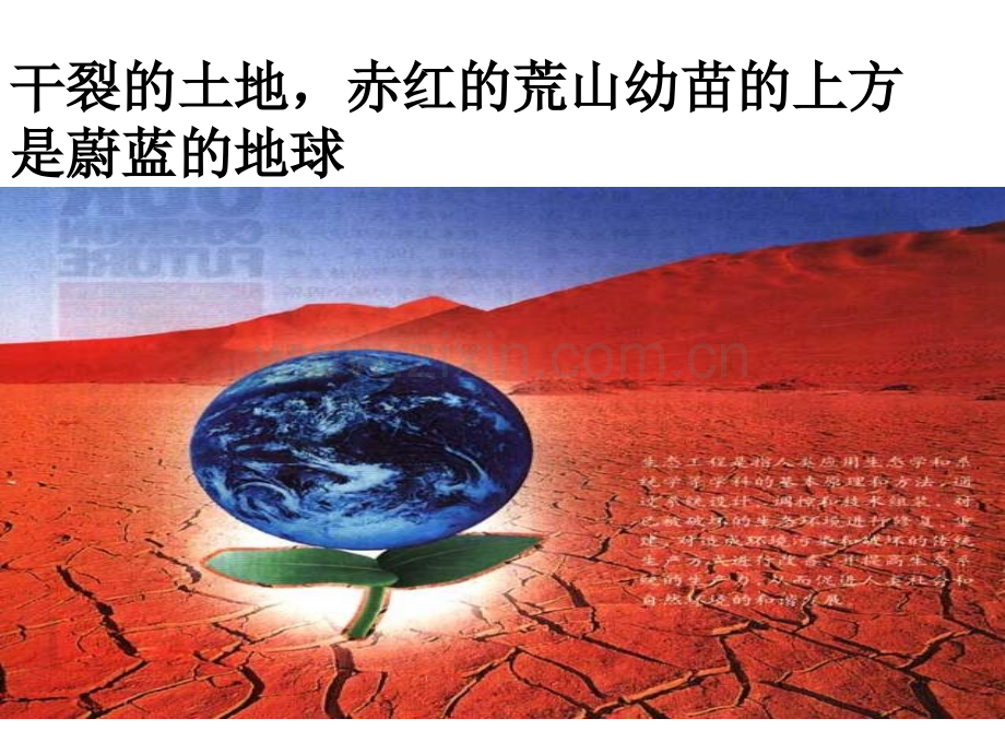 生态工程的基本原理——物质循环再生.pptx_第2页