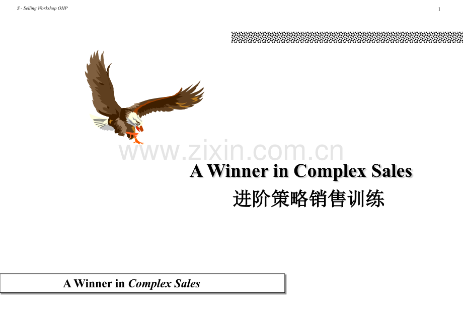 进阶策略销售培训.pptx_第1页