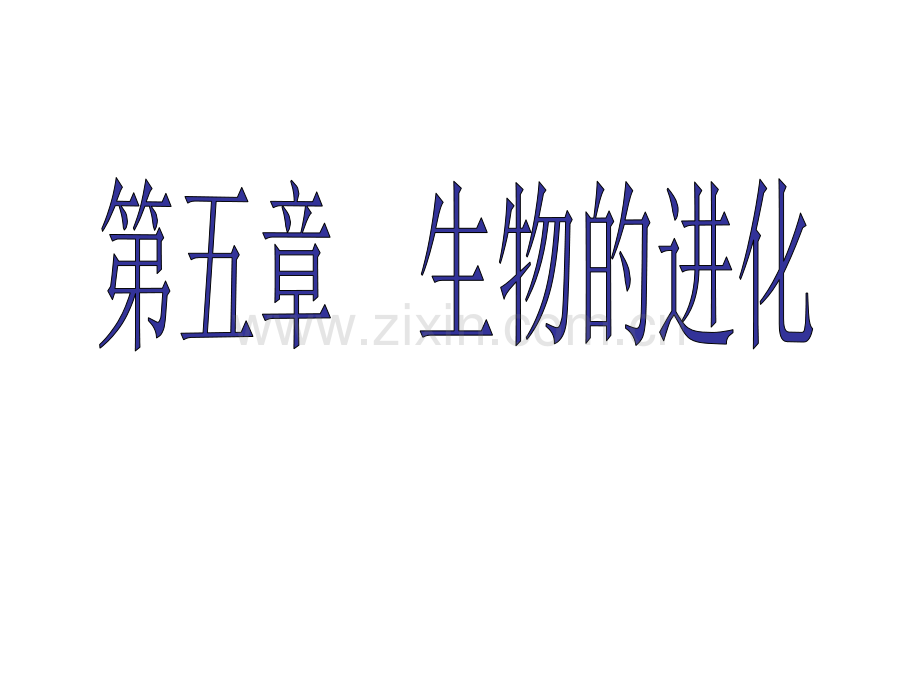 浙科版必修二生物的进化.pptx_第1页