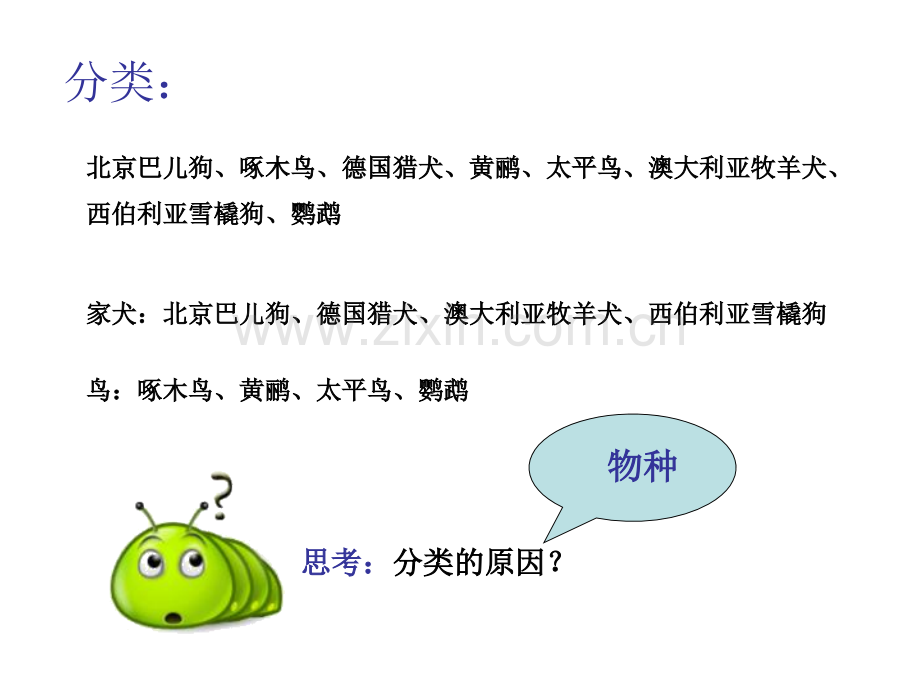 浙科版必修二生物的进化.pptx_第2页