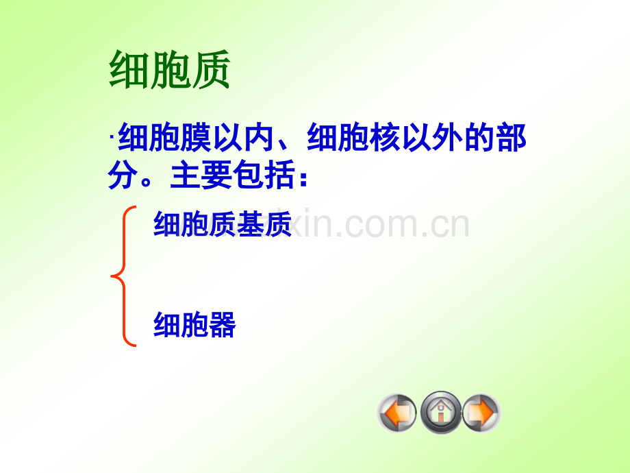 细胞质结构和功能.pptx_第1页