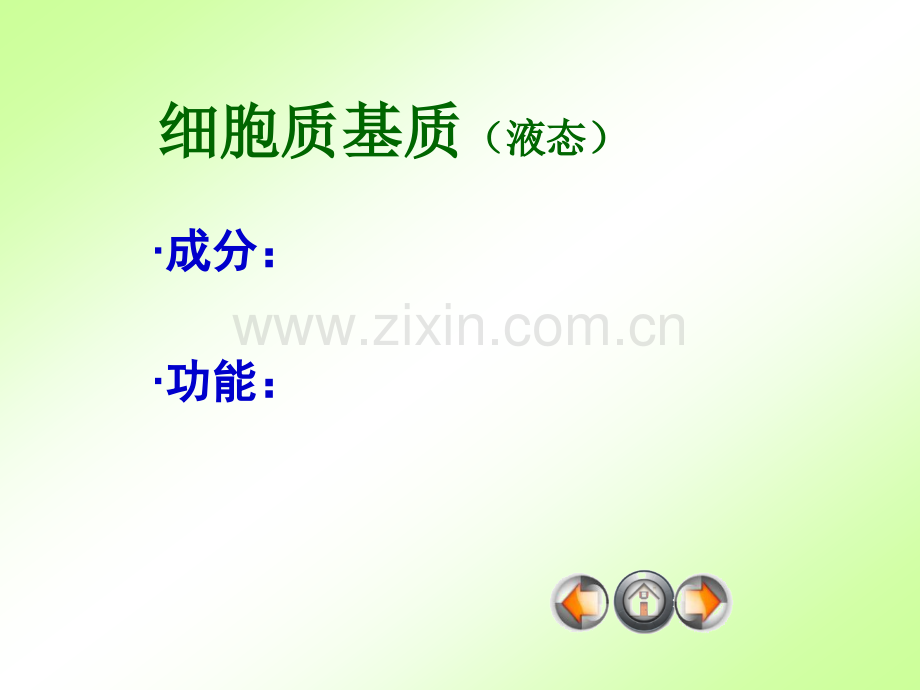 细胞质结构和功能.pptx_第2页