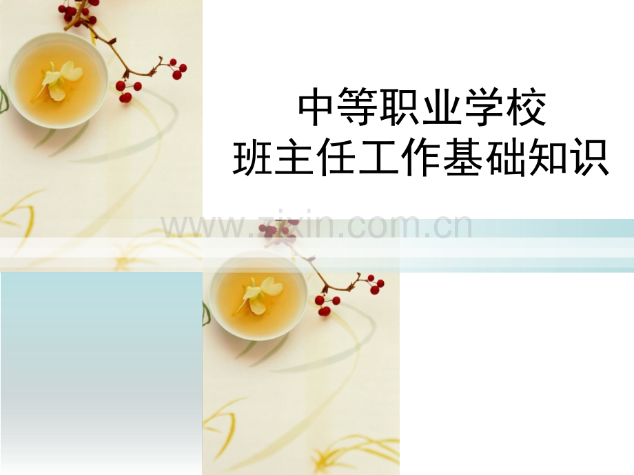 班主任工作基础知识.pptx_第1页