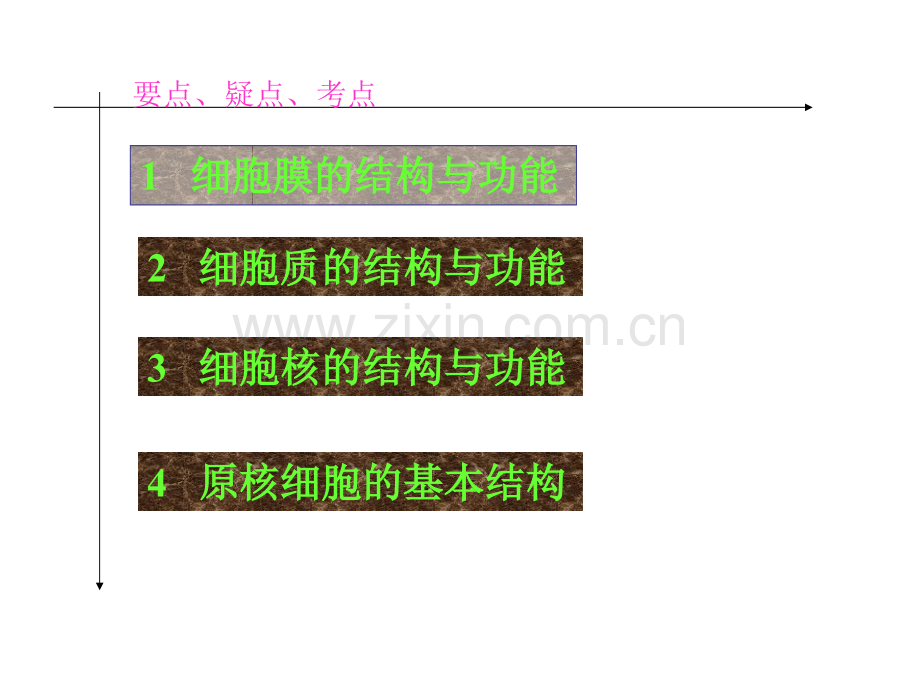 细胞的结构和功能复习.pptx_第1页