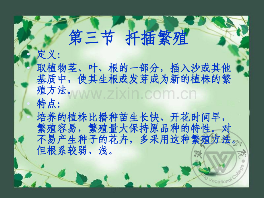 花卉扦插繁殖.pptx_第1页