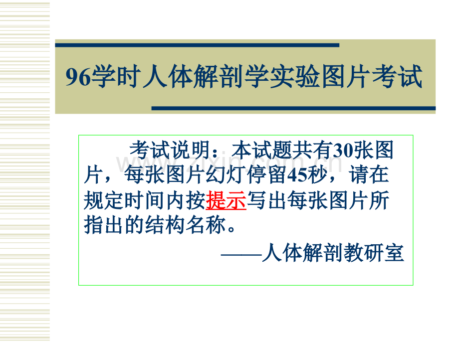 系统解剖学96学时实验考有答案.pptx_第1页