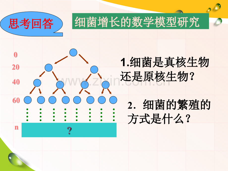 种群的数量变化.pptx_第1页