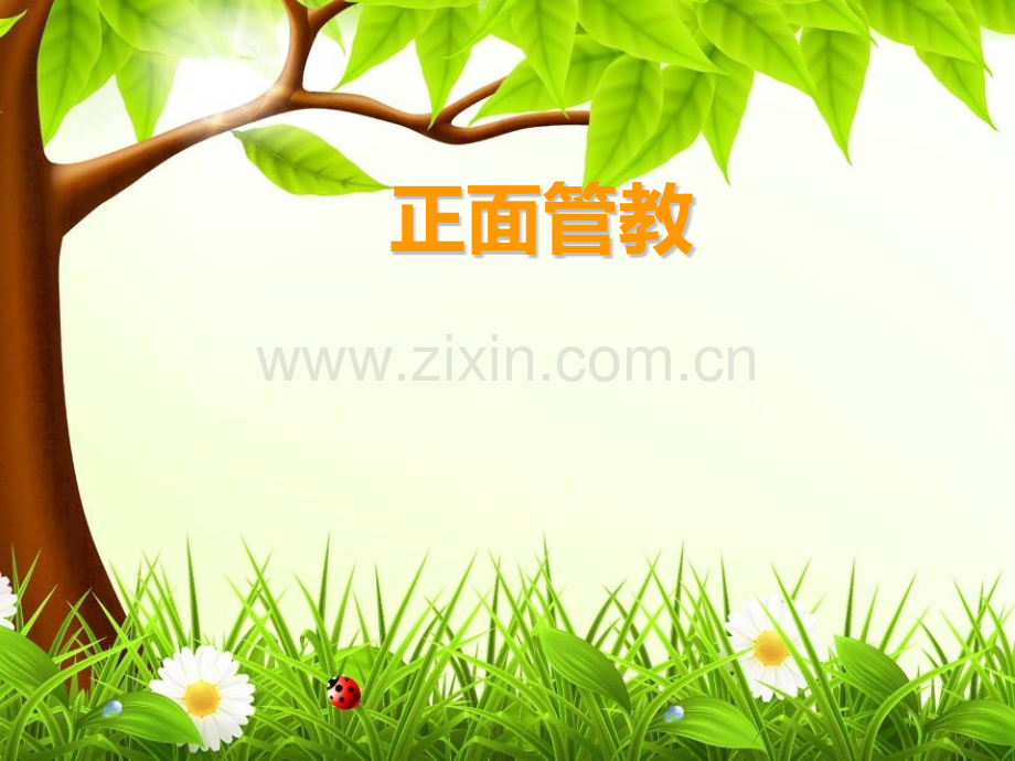班主任培训正面管教.pptx_第1页