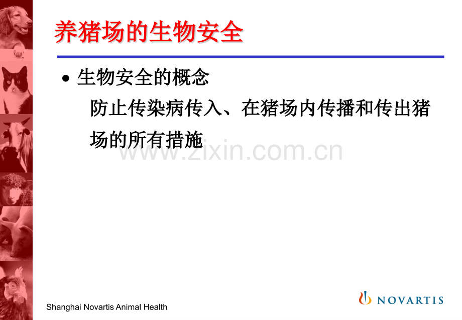 猪场的生物安全.pptx_第1页