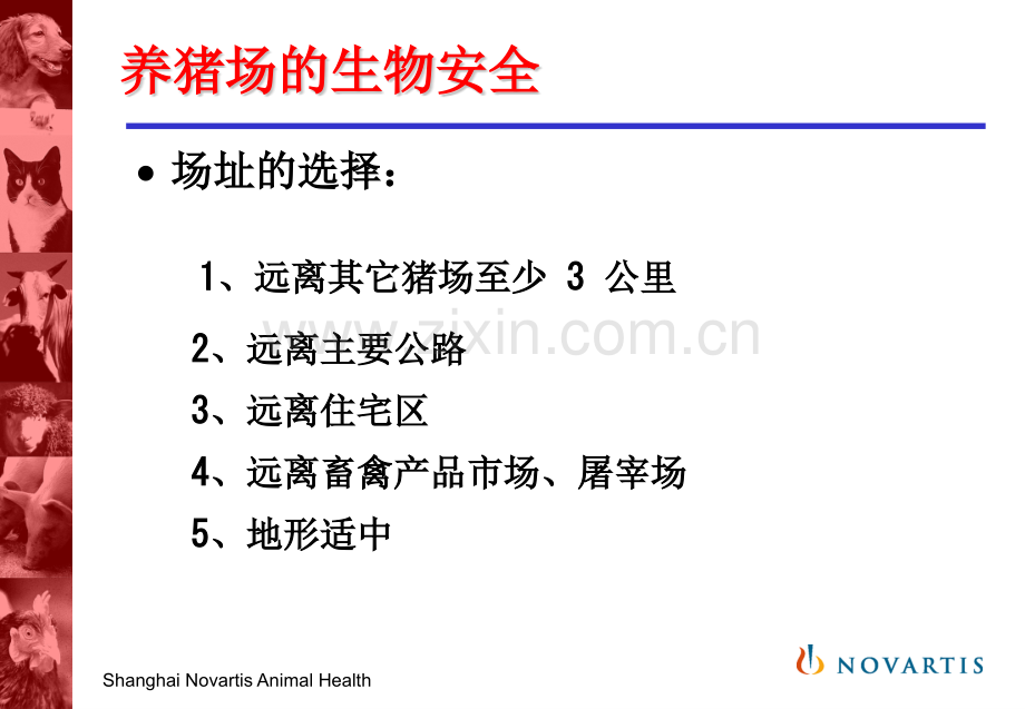 猪场的生物安全.pptx_第2页