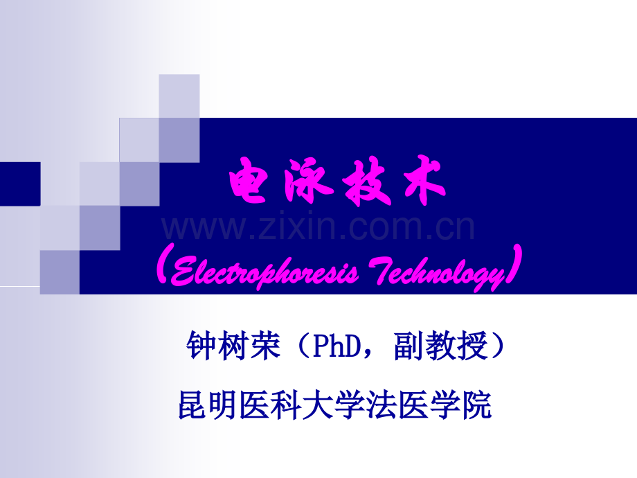 电泳技术昆明医科大学.pptx_第1页