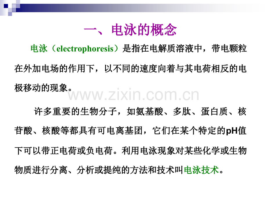 电泳技术昆明医科大学.pptx_第2页