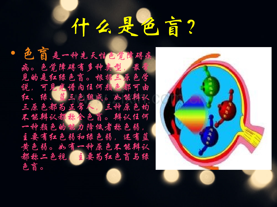 调查人群中的遗传病——色盲.pptx_第2页