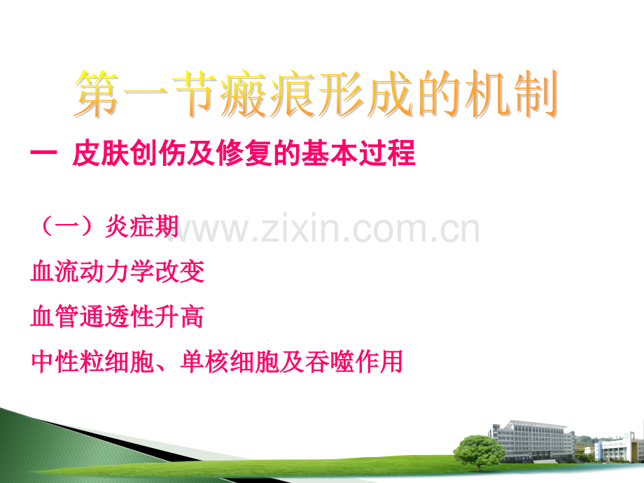 烧伤瘢痕.pptx_第2页