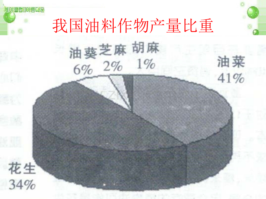 花生生长发育.pptx_第2页