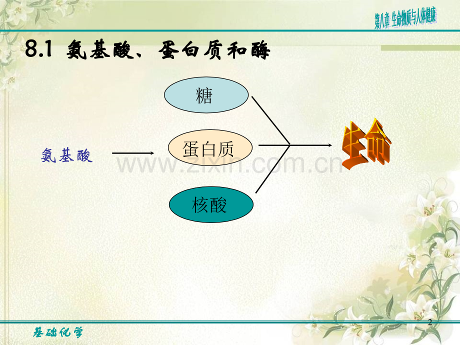 生命物质与人体健康.pptx_第2页