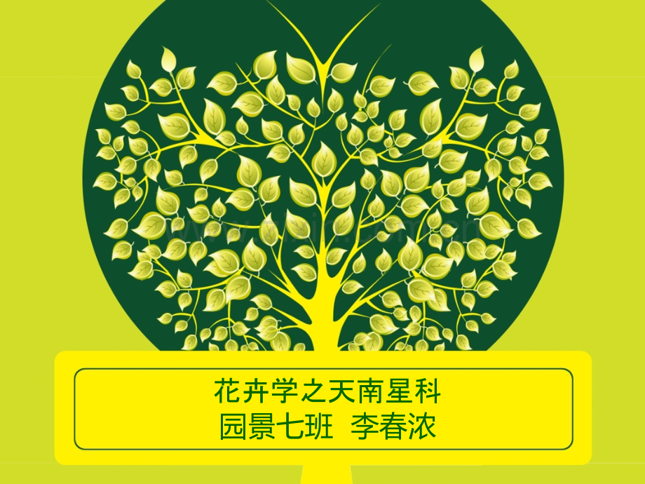 花卉植物大全.pptx_第1页