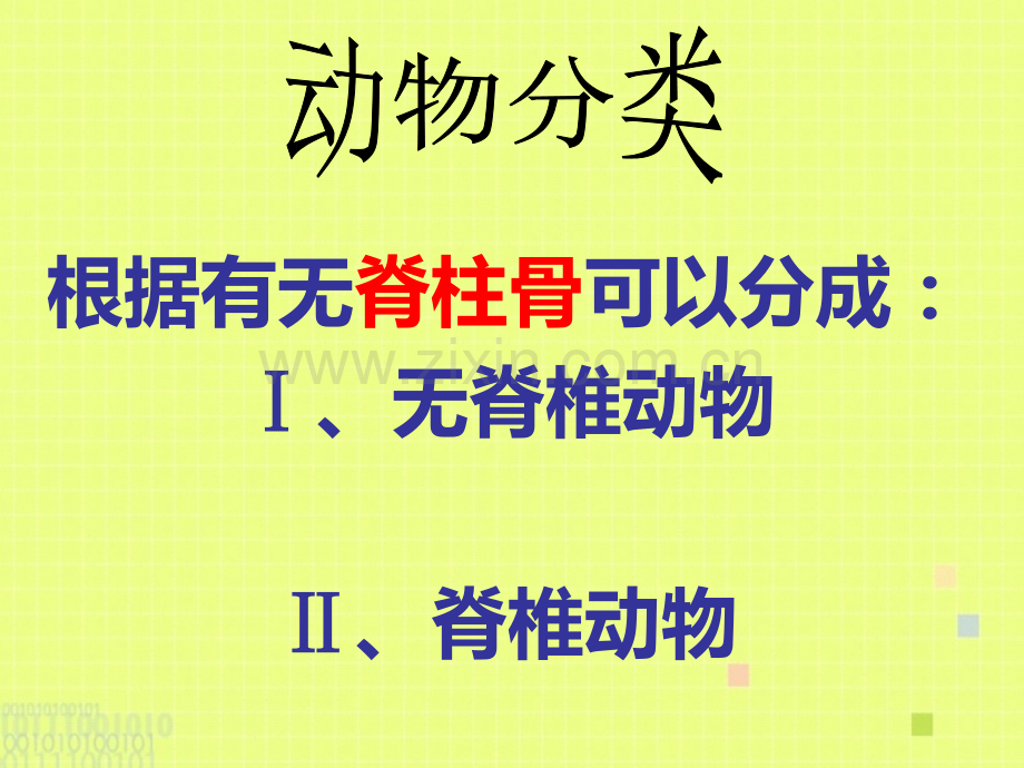苏教版八年级生物千姿百态的动物世界.pptx_第2页
