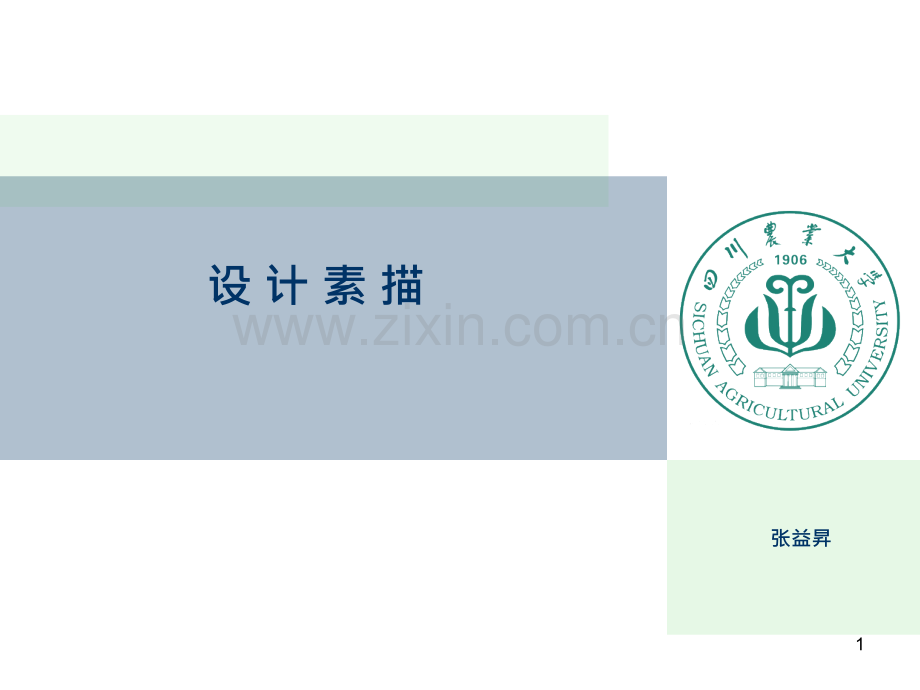 设计素描说课.pptx_第1页