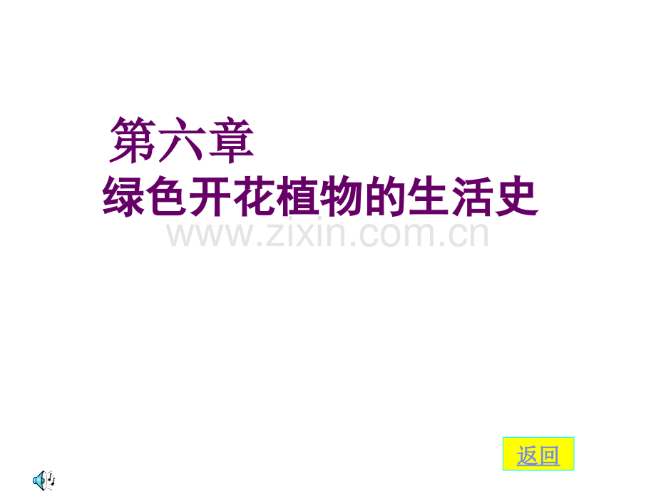 种子萌发形成幼苗.pptx_第1页