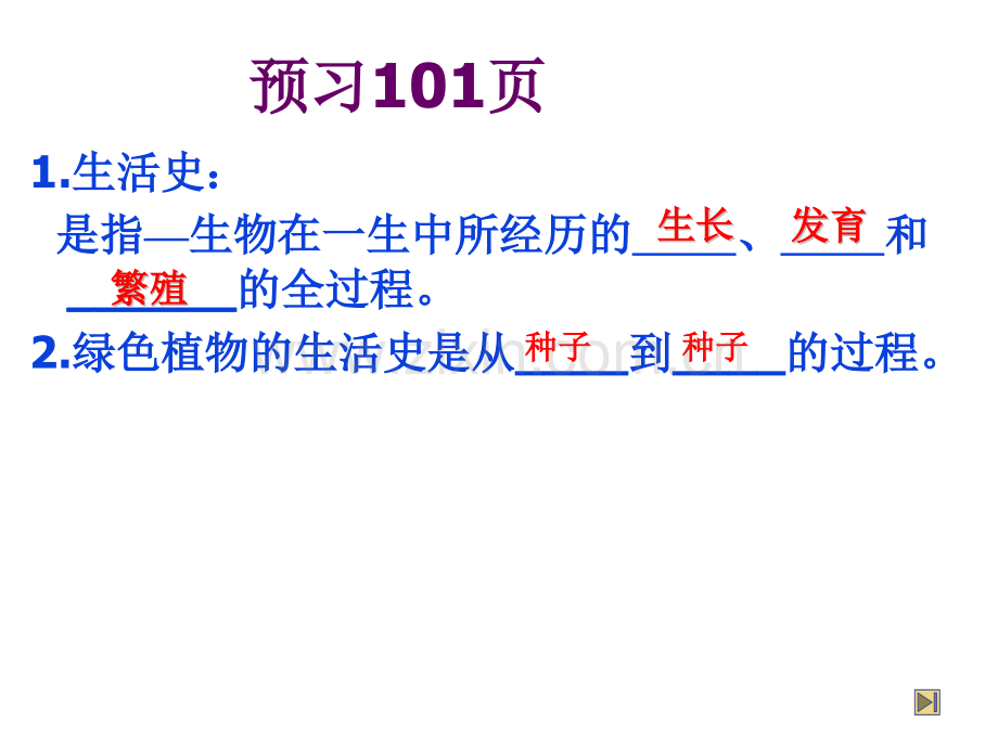 种子萌发形成幼苗.pptx_第2页