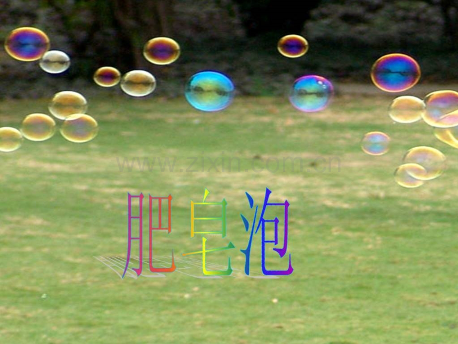 语文6册肥皂泡.pptx_第1页