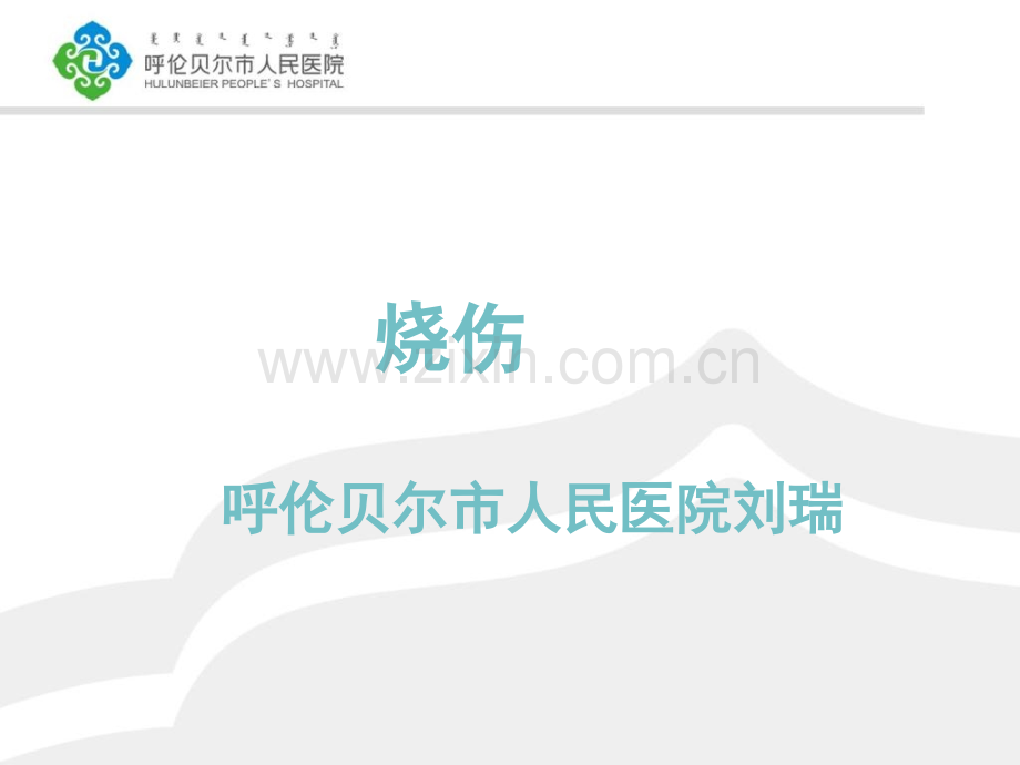 烧伤研究进展.pptx_第1页