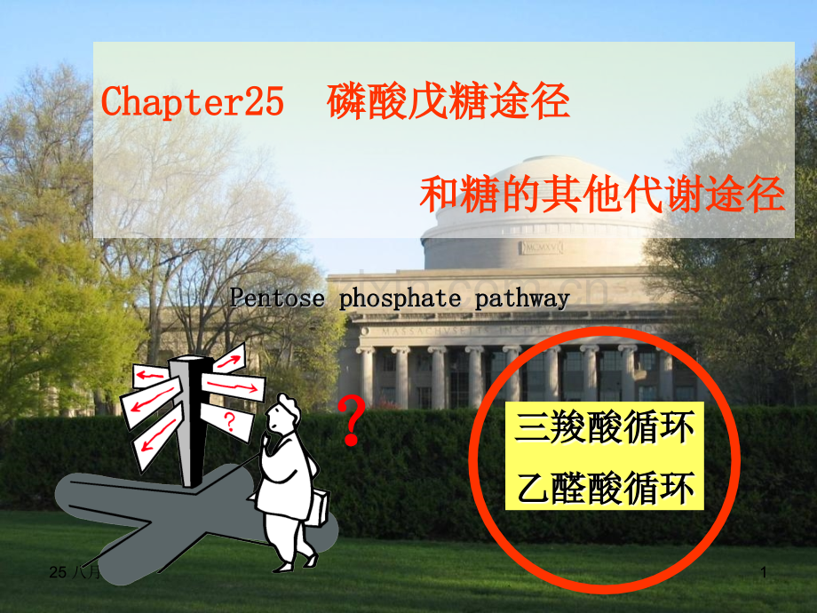 烟大生化25.pptx_第1页